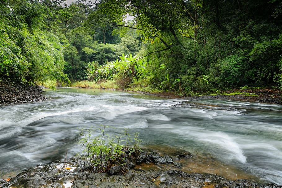 the waterfall, forest, streams, scenery, wave, rain forest HD wallpaper