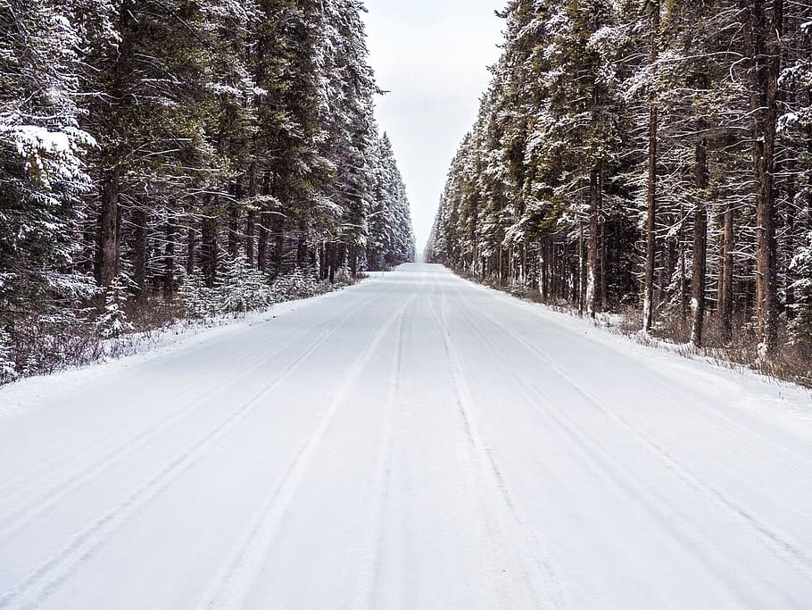 winter, road, alberta, perspective, banff, canada, infinity, HD wallpaper