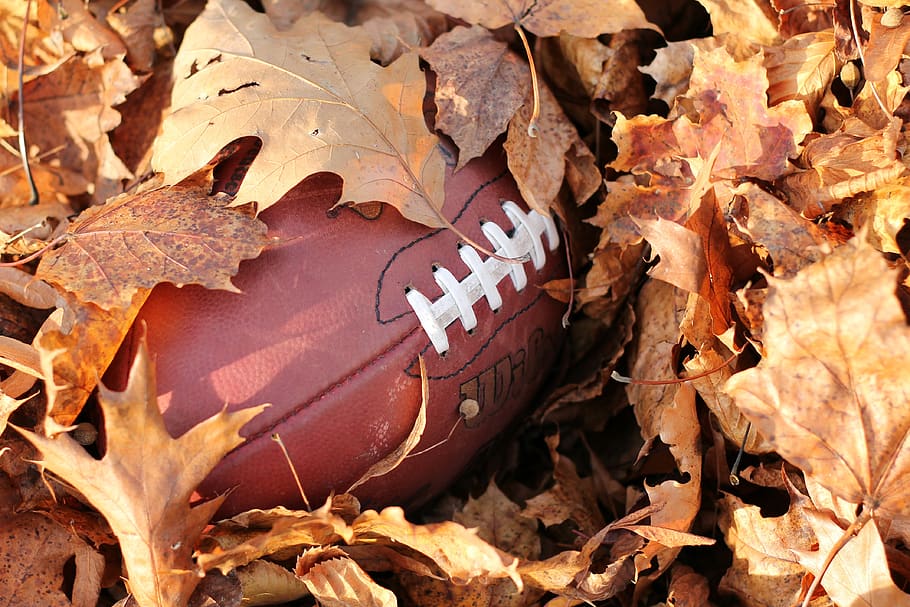 football, play, leaves, sewn, american, still life, forget, HD wallpaper