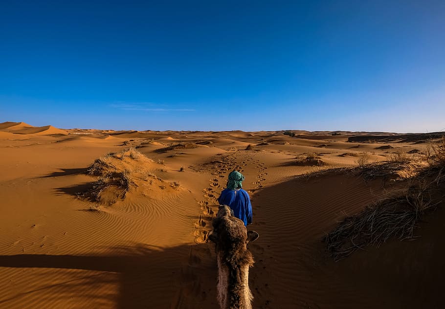 Man Wearing Blue Jacket Riding Camel Walking on Desert, alone