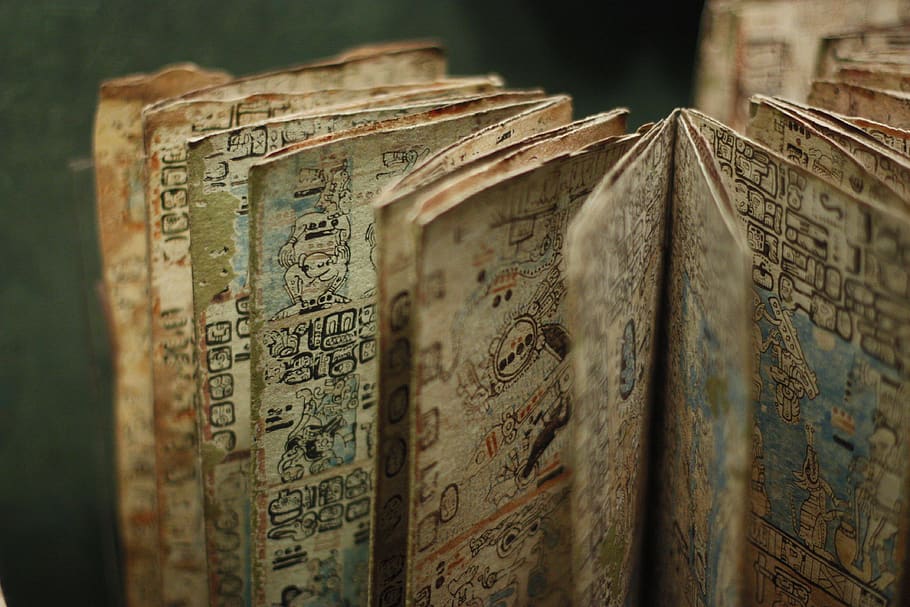 brown books, text, selective focus, close-up, old, no people HD wallpaper
