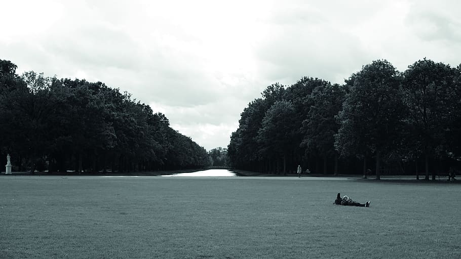 germany, kassel, blackandwhite, guy, trees, park, plant, sky HD wallpaper
