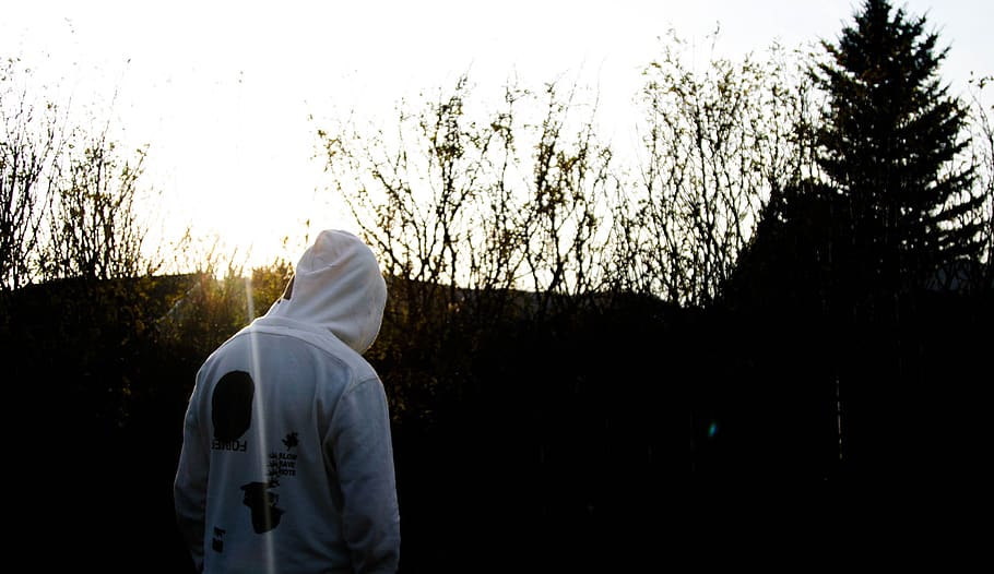 fall, former, hoodie, cold, rave, nature, man, person, boy HD wallpaper