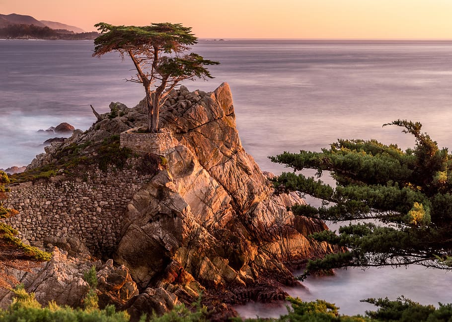 rocks, cliff, hill, trees, plant, nature, landscape, mountain HD wallpaper