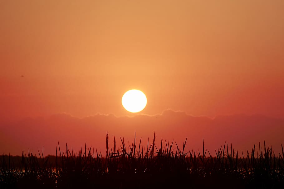 sunset, dawn, dusk, nature, evening, sky, schönwetter, silhouette HD wallpaper