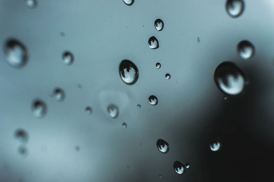 macro, rain, water, droplets, weather, window, close-up, indoors HD wallpaper