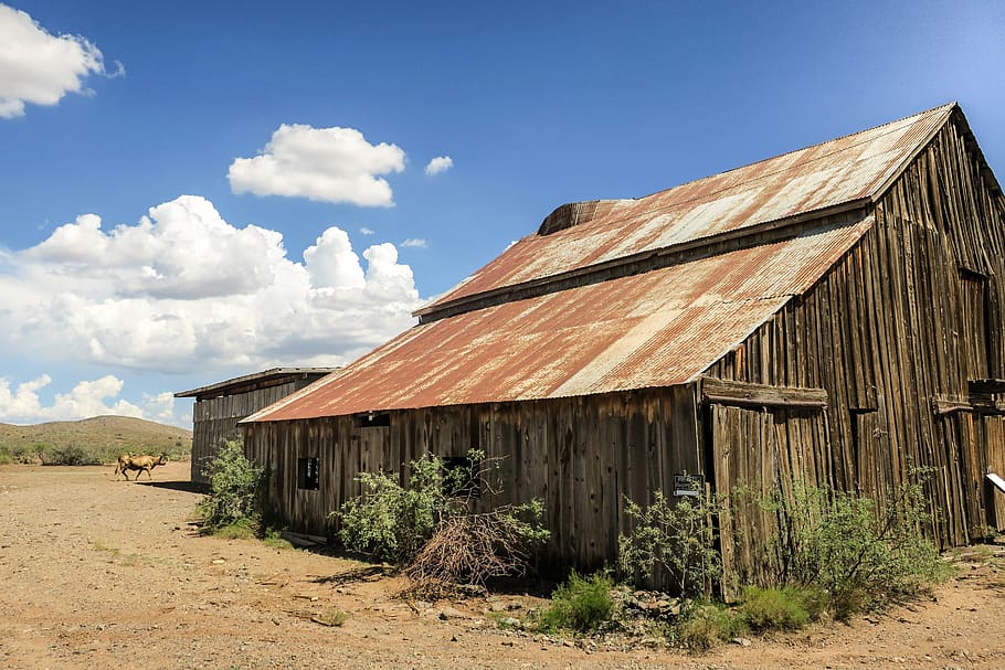 sun, rust, road, arizona, clouds, sky, cow, barn, architecture HD wallpaper