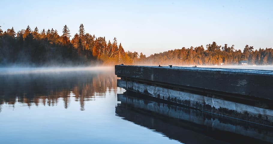 Body of Water Surrounded by Brown Leaf Trees, cold, daylight HD wallpaper