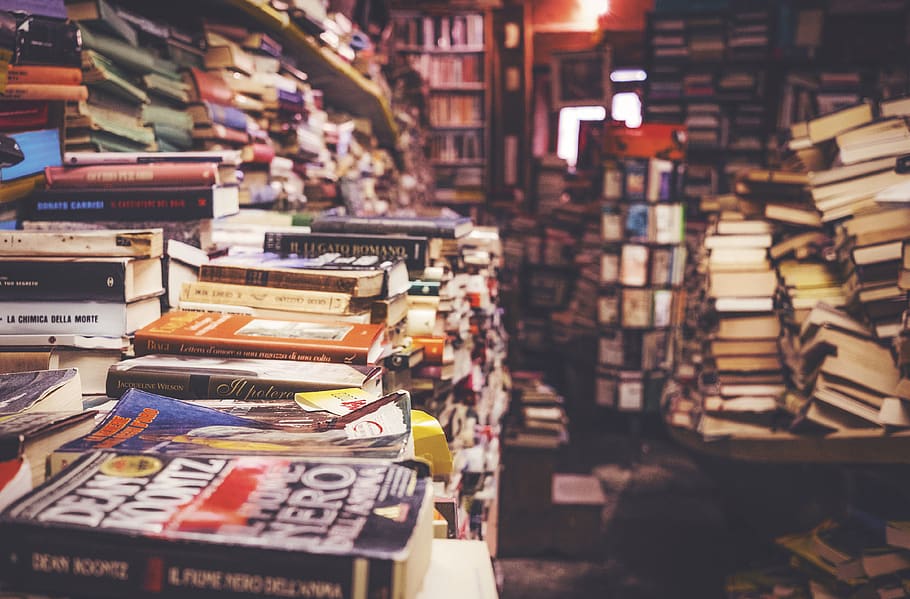 books, shelf, rack, library, school, education, knowledge, novel HD wallpaper