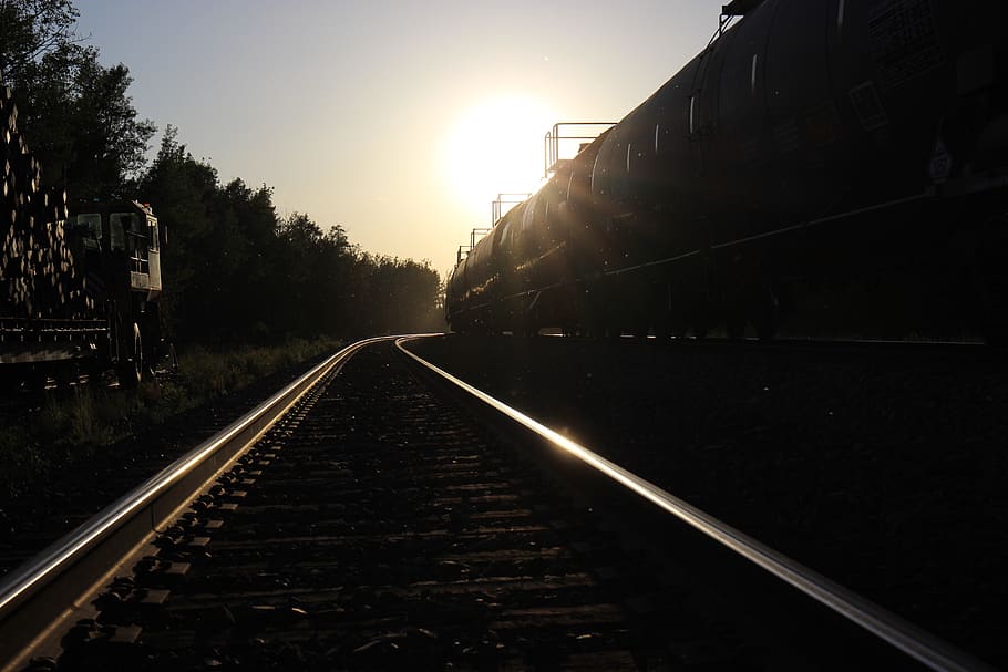 train, tracks, dusk, trees, dark, summer, railroad track, rail transportation HD wallpaper