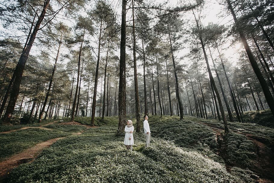 man and woman inside forest, tree, outdoor, person, people, standing HD wallpaper
