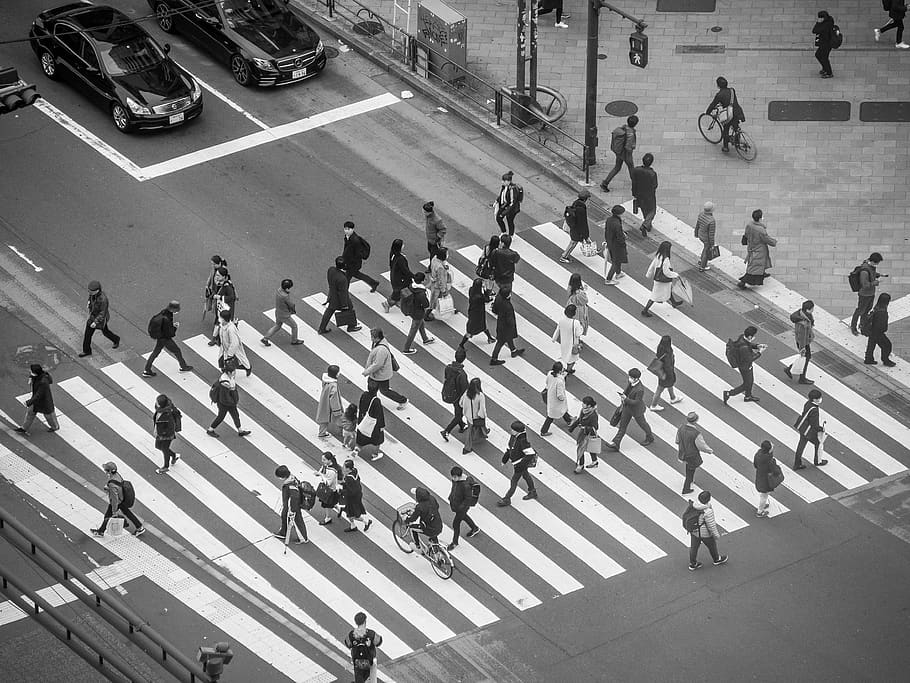 people crossing the street, asphalt, tarmac, road, human, pedestrian, HD wallpaper