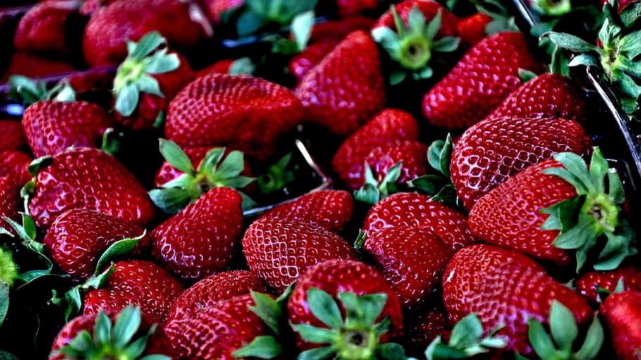 Strawberry on Shallow Focus Lens, fruits, healthy, macro, red HD wallpaper