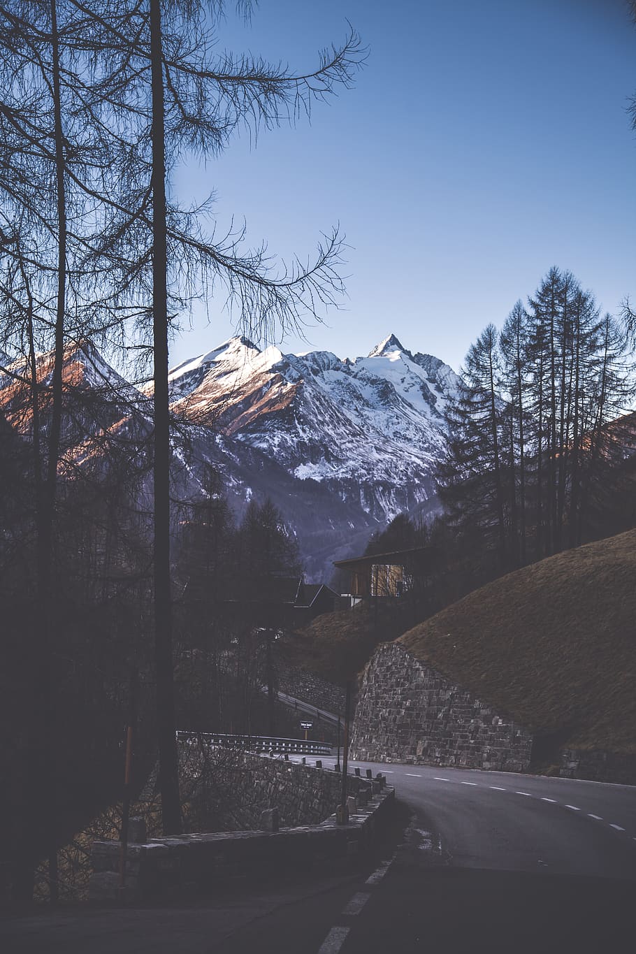 Gray Concrete Road With Trees and Mountain, cold, daylight, landscape HD wallpaper