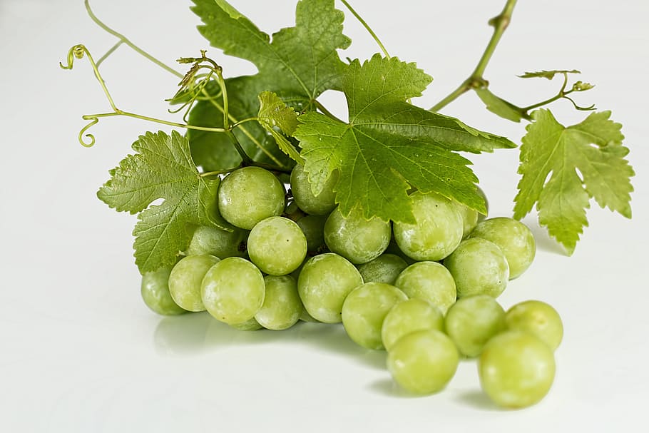 grape, fruit, nature, food, fresh, sour, food and drink, healthy eating HD wallpaper