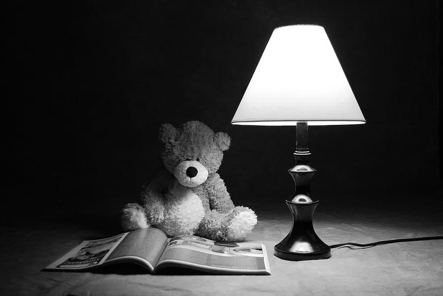 HD wallpaper: teddy bear, black and white, toy, lamp, reading, lighting  equipment | Wallpaper Flare