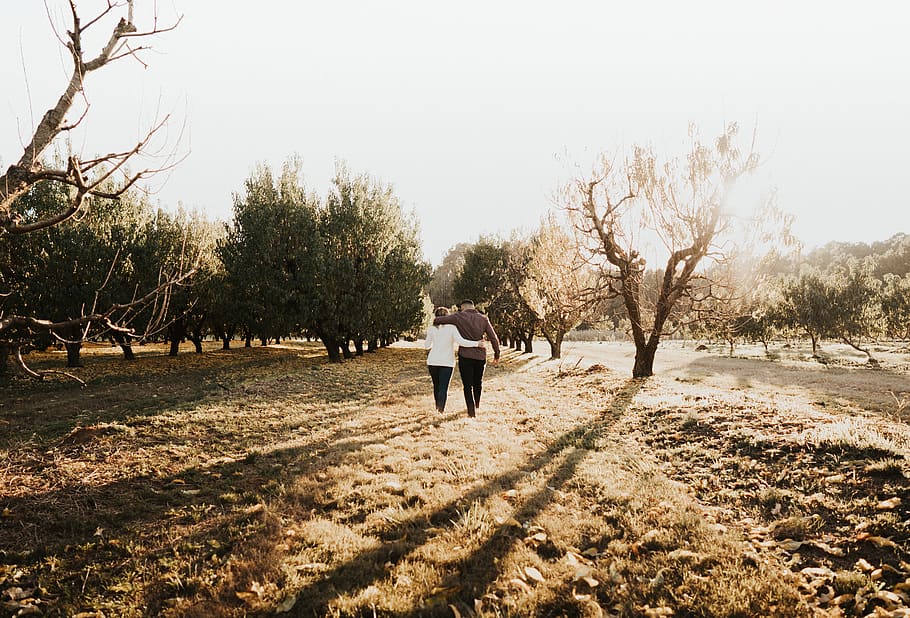couple walking in between trees, ground, human, person, outdoors HD wallpaper
