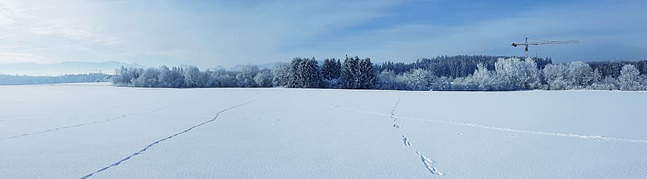 winter, snow, forest, alpine, panorama, cold temperature, tree HD wallpaper