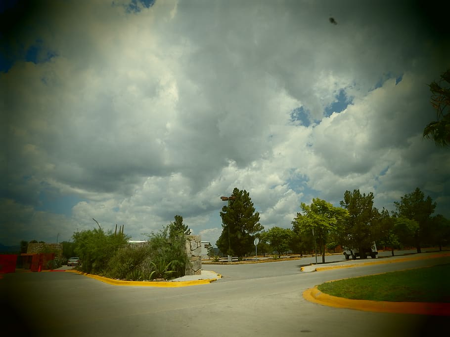 mexico, saltillo, tree, cloud - sky, plant, nature, transportation HD wallpaper