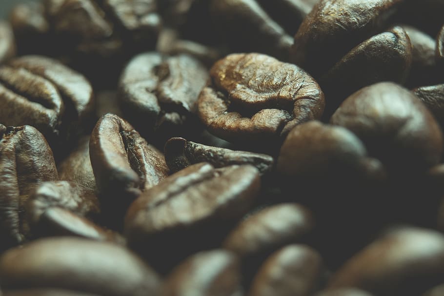 Coffee Beans, abundance, aroma, aromatic, blur, brown, caffeine HD wallpaper