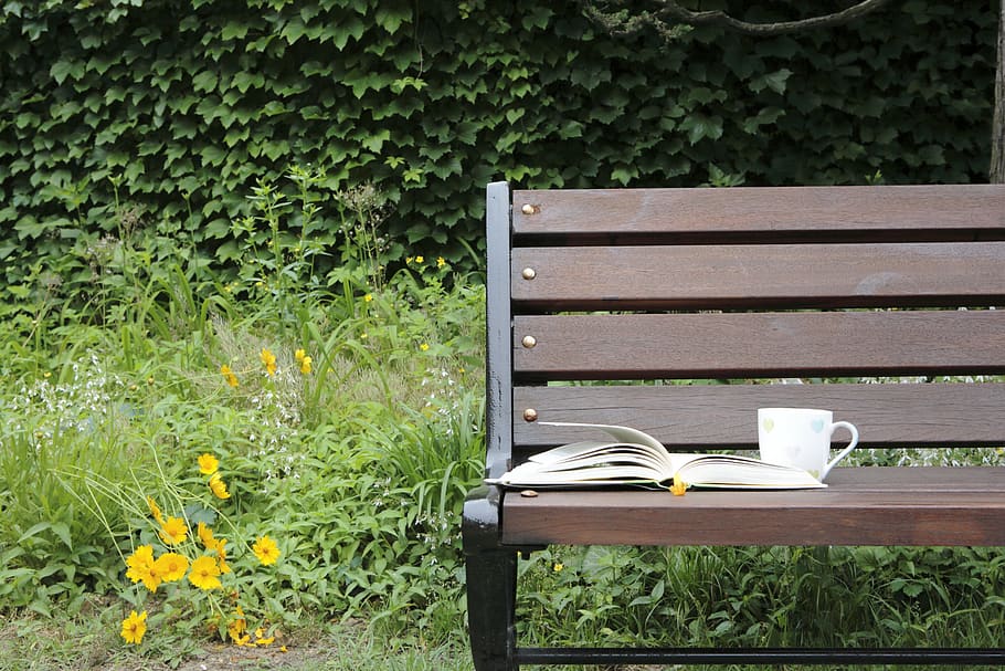 bench, pause, book, plant, growth, nature, seat, day, no people HD wallpaper