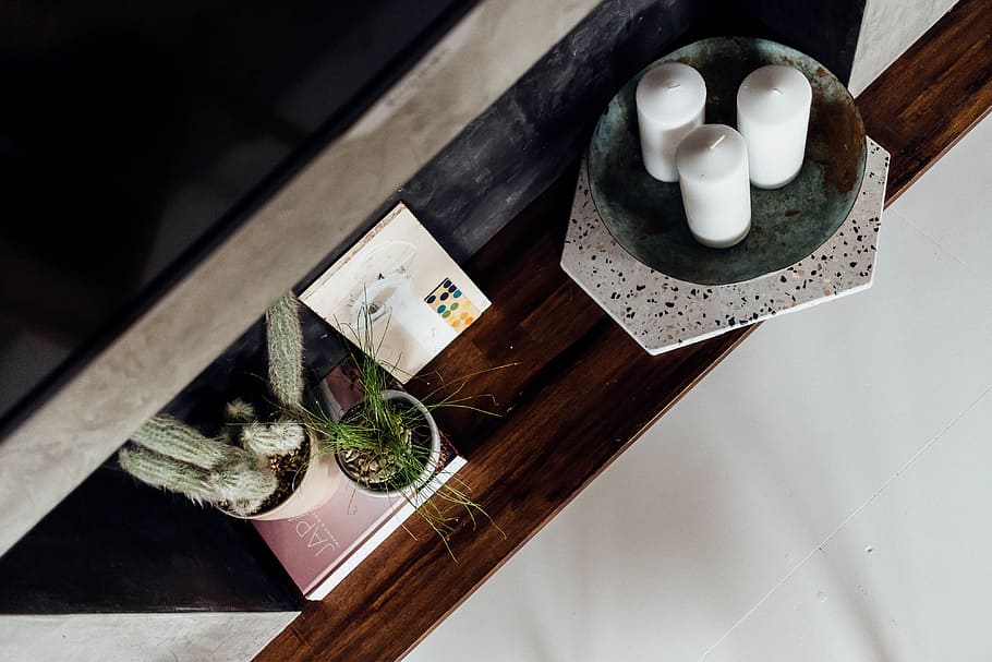 three white pillar candles in tray, decor, plant, cacti, book HD wallpaper
