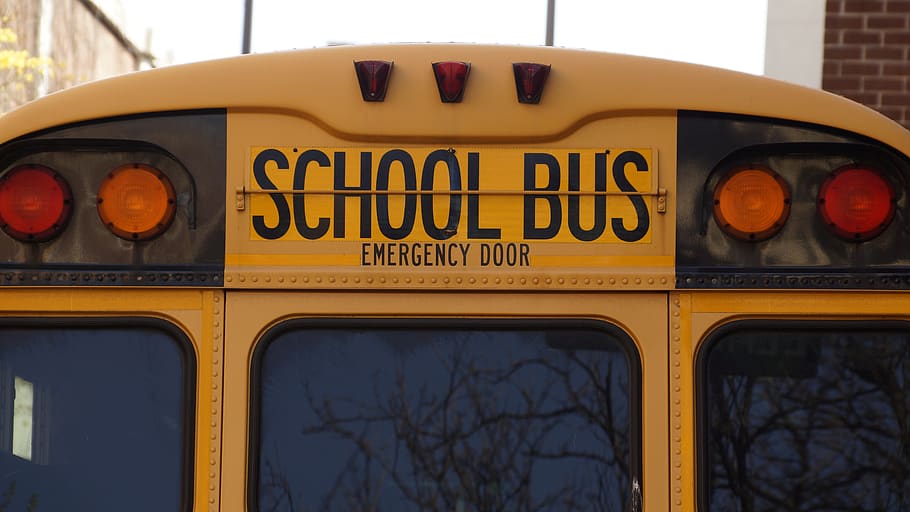 Yellow School Bus, back, education, usa, vehicle, text, communication HD wallpaper