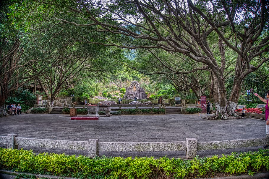 feng ze district, tree, plant, nature, day, park, city, architecture HD wallpaper