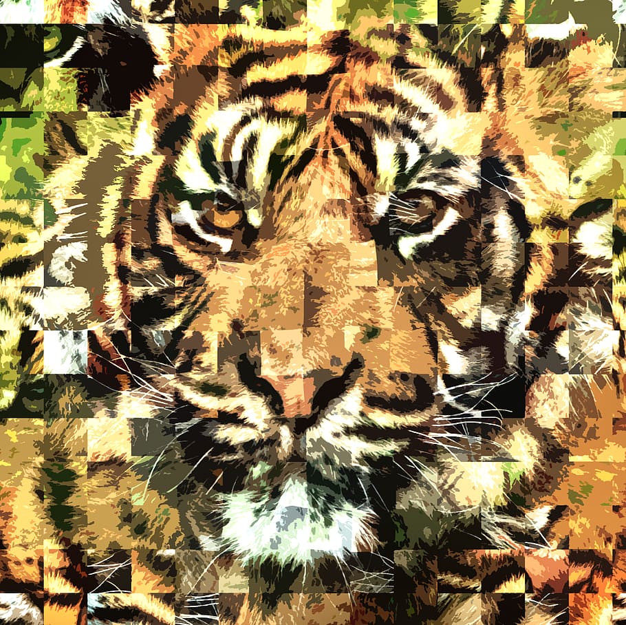 tiger, texture, design, wallpaper, nature, animal, wild, jungle HD wallpaper