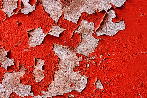 red wall paint, leaf, plant, rug, rust, tree, maple leaf, texture HD wallpaper