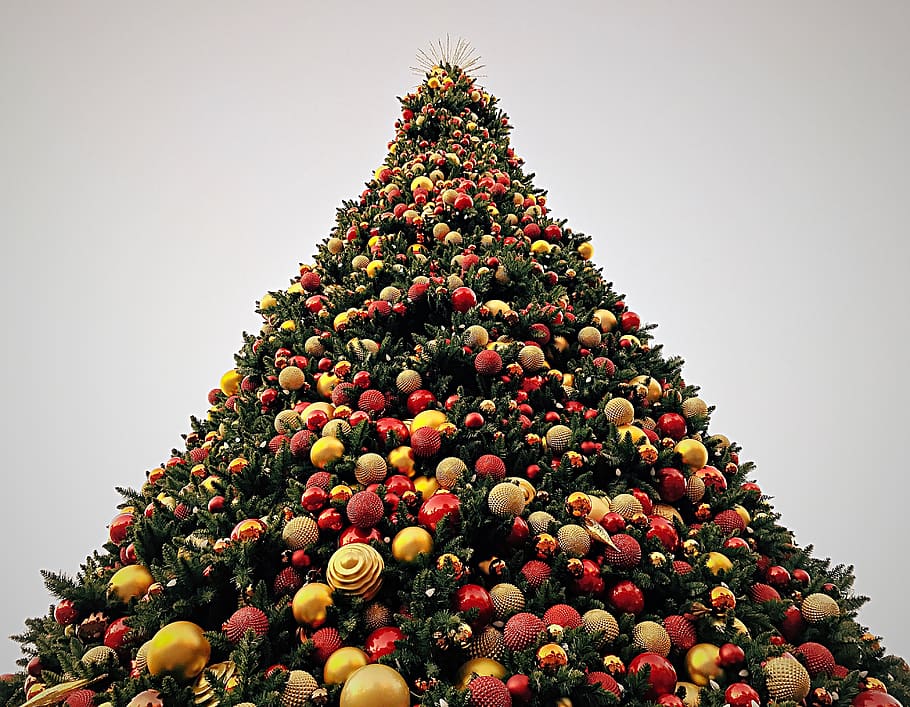 Christmas tree, ornament, plant, pine, conifer, ball, green, bush HD wallpaper