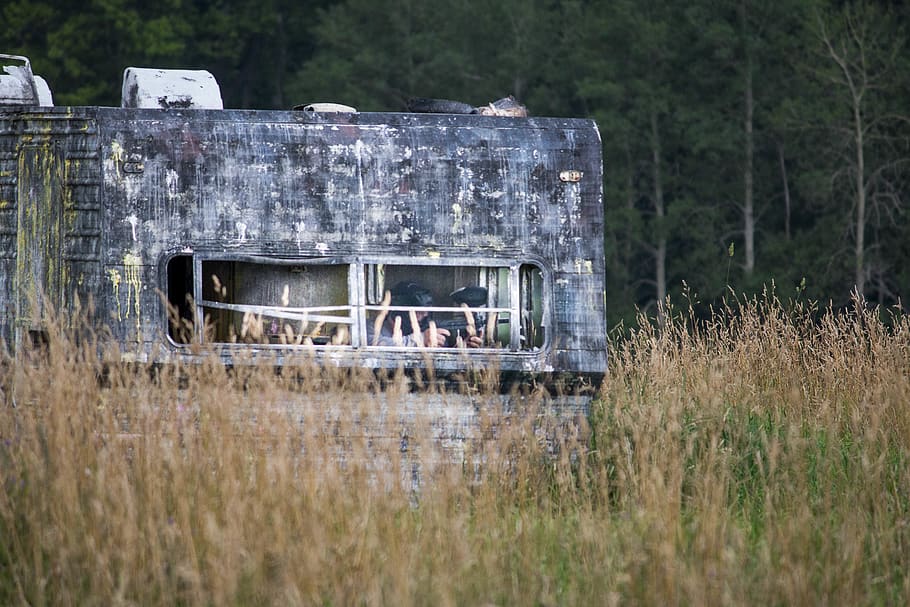 canada, mildmay, field, grass, paint, caravan, trees, paintball HD wallpaper