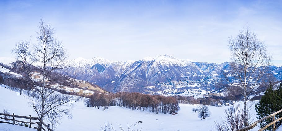 mountains, trees, cold, winter, landscape, snow, snow-capped HD wallpaper