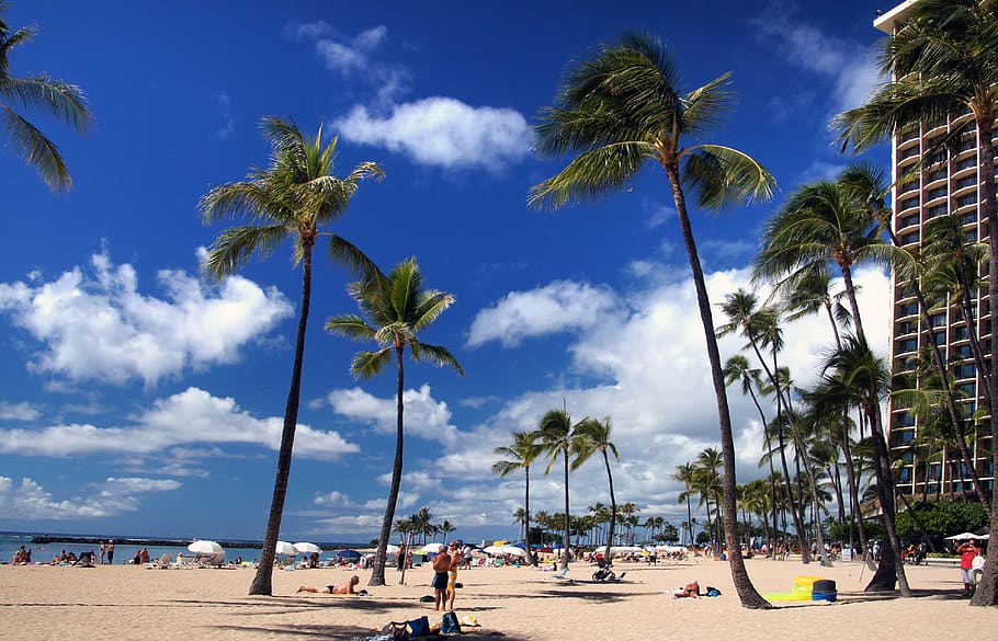 hawaii, honolulu, waikiki, beach, swimmers, lifestyle, swimming, HD wallpaper