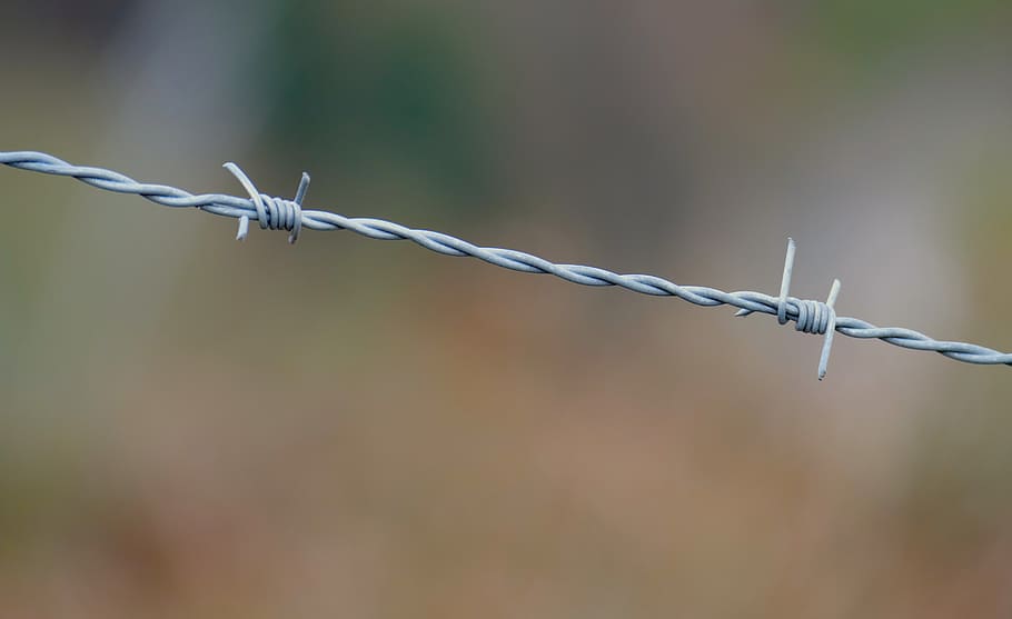 gray barbed wire, fence, safety, security, protection, barrier HD wallpaper