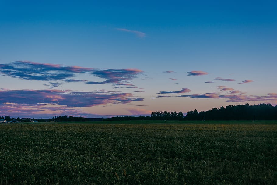 belarus, landscape, blue sky, evening, summer, july, love, field HD wallpaper
