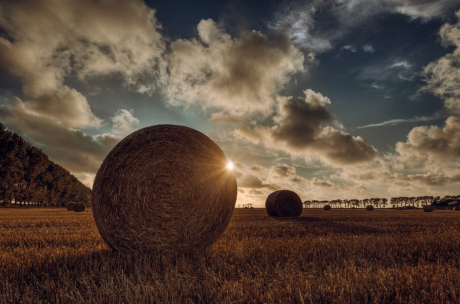 Rule of Thirds Photography of Round Brown Hay, agriculture, clouds, HD wallpaper