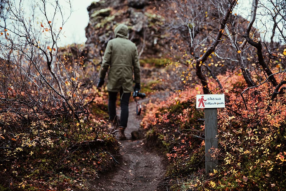 A hiker in hooded jacket and carrying a camera hiking through the bush HD wallpaper