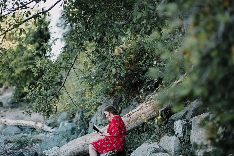 woman reading book, forest, tree, nature, christian, scripture HD wallpaper