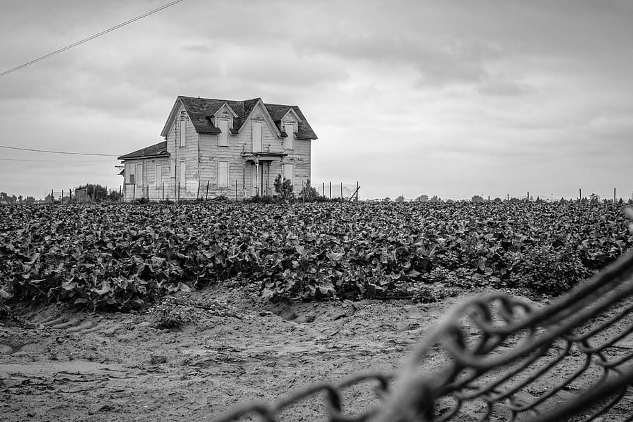 abandoned, black and white, house, farmhouse, california, santa maria, HD wallpaper