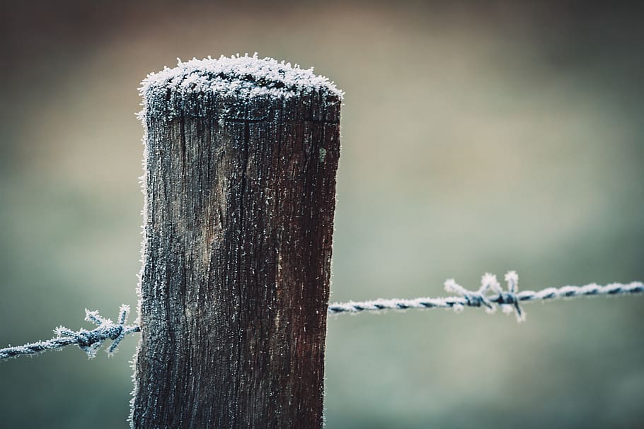 Close-Up Photo of Wooden Pole, barbed wire, cold, depth of field HD wallpaper