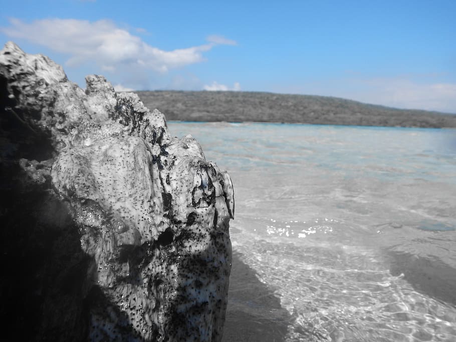beach, coral, water, sky, sea, scenics - nature, beauty in nature HD wallpaper