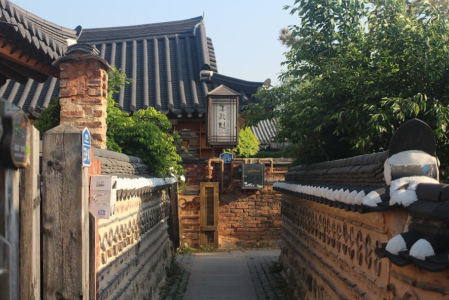 korea, architecture, built structure, building exterior, plant HD wallpaper