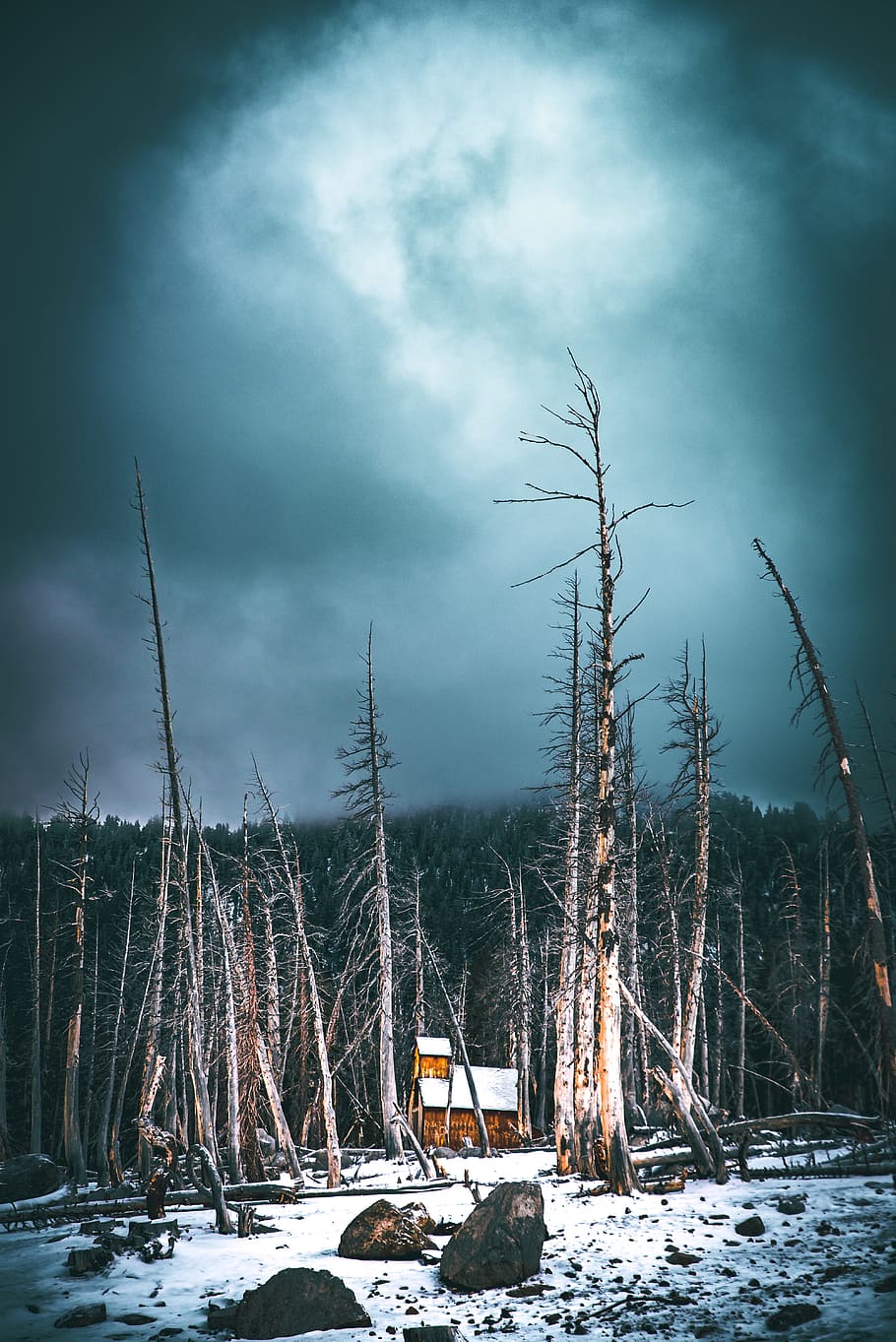 yellow barn near leafless tree, night, star, sky, wanderlust HD wallpaper