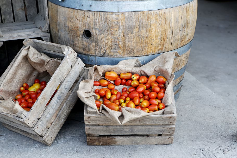 Fresh tomatoes, barrel, red, vegetable, vegetables, wood, food and drink, HD wallpaper