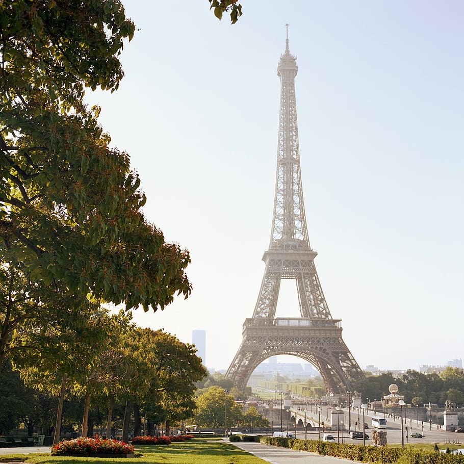 Eiffel Tower, Paris, architecture, built structure, tree, city HD wallpaper