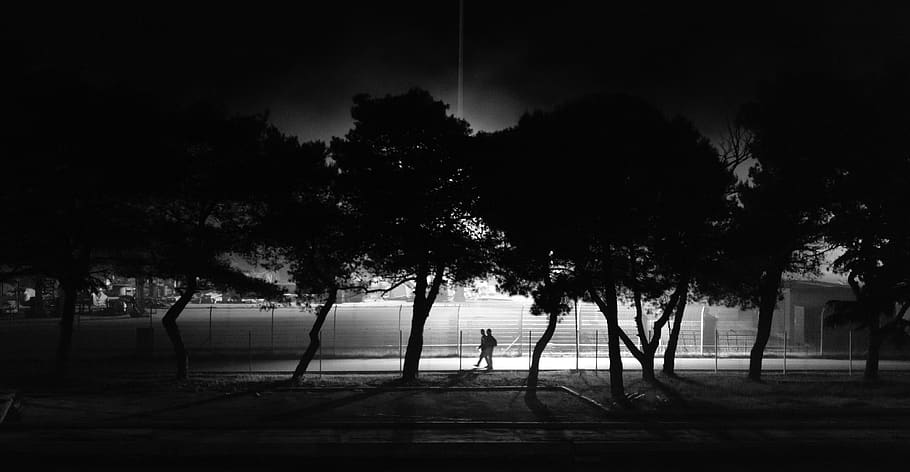 russia, adler, walk, cloud, night, black and white, trees, light HD wallpaper