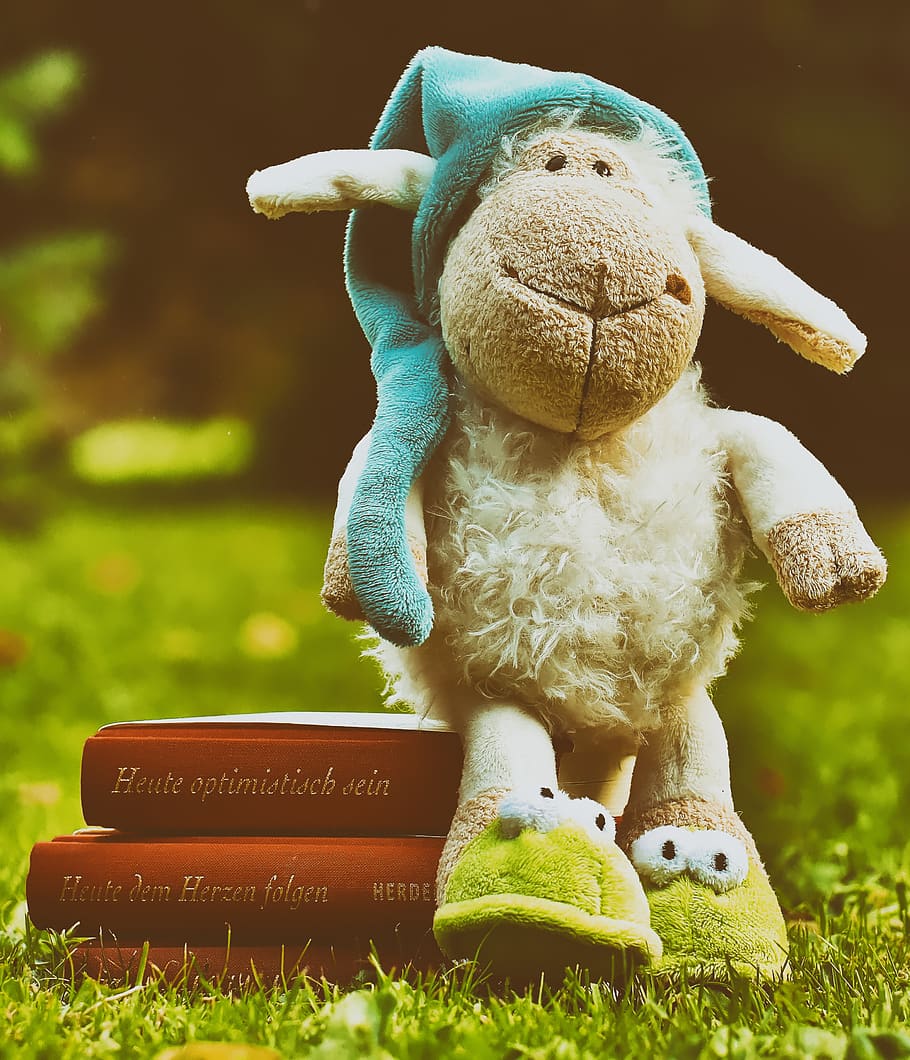 sheep, sleepyhead, meadow, plush, books, good night story, read, HD wallpaper