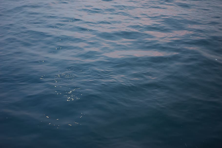 sea, reflection, sunset, wave, water, waterfront, full frame HD wallpaper