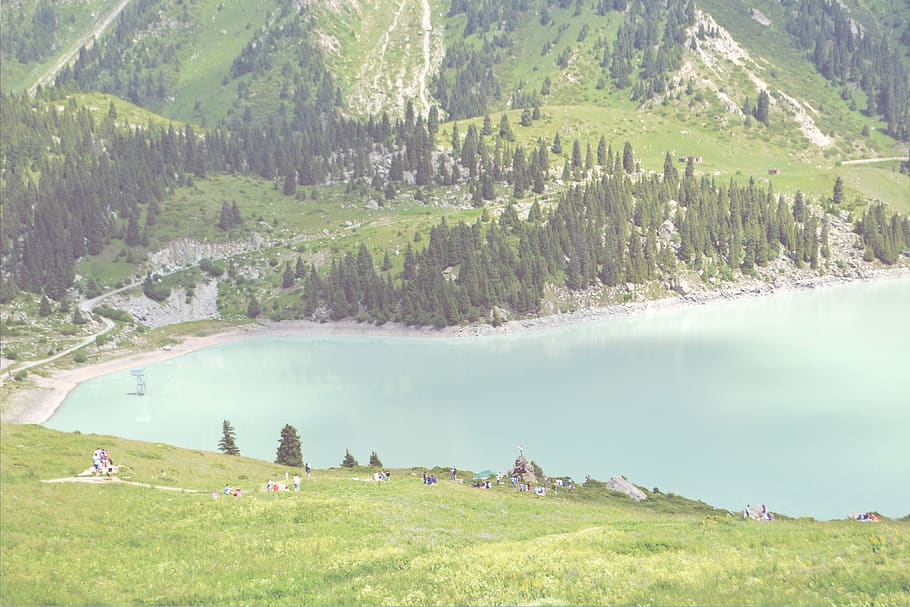 trees, lake, nature, stones, park, greenery, plant, beauty in nature HD wallpaper